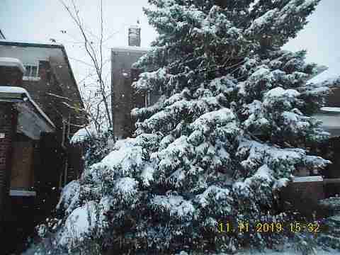 3319 Pingree (5)_m.jpg